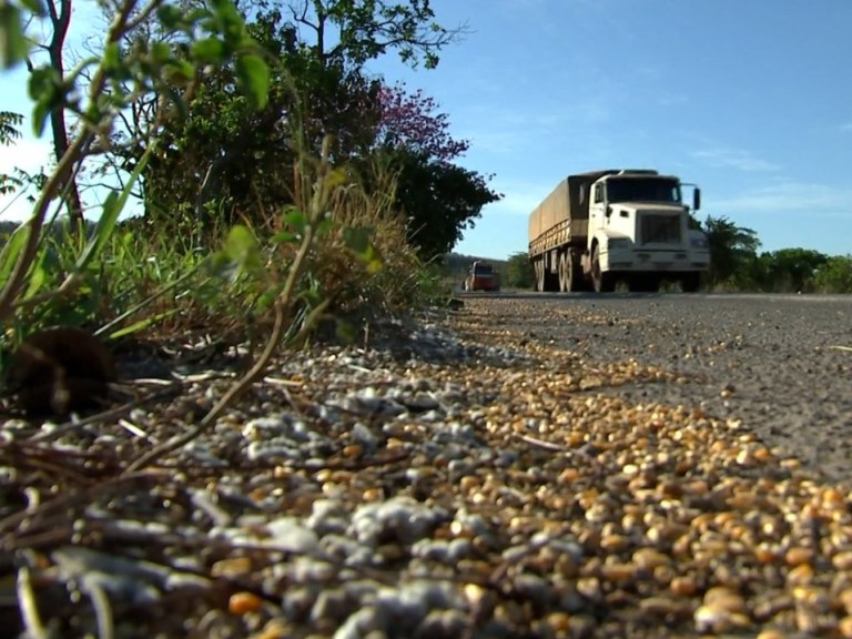 Setor não sabe quantificar perdas no transporte em Mato Grosso