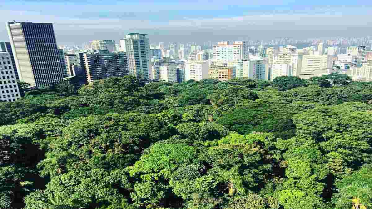 APAS inaugura nova sede na Zona Sul com cursos para funcionários e comunidade