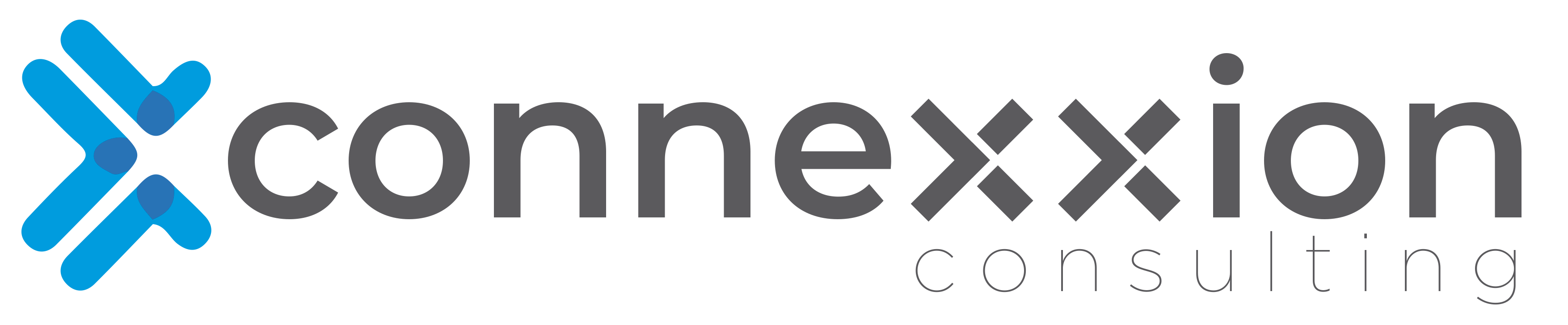 Connexxion Brasil comemora 15 anos com novos sócios, nova marca e novo site