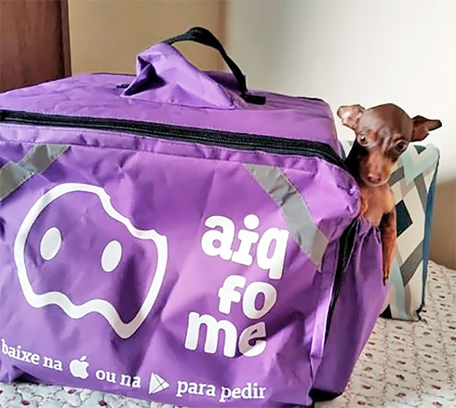 Magazine Luiza compra startup de delivery de comida AiQFome