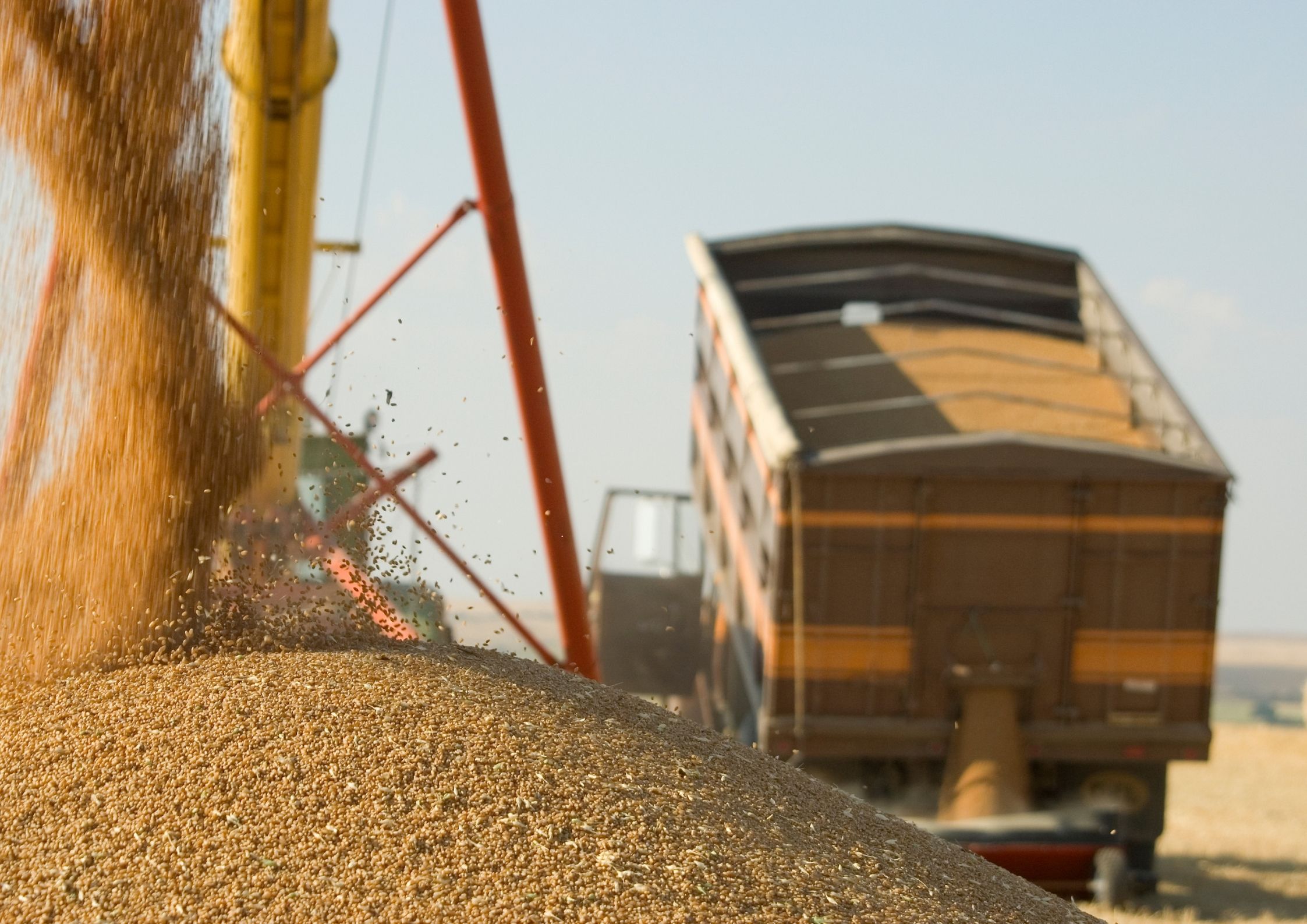 Brasil diversifica a matriz de transporte de milho e soja, mas aumenta a dependência das rodovias para exportação