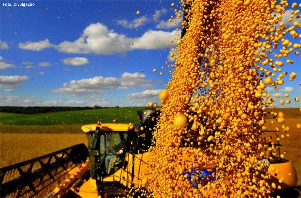 Agronegócio bate recorde de US$ 14 bilhões em exportações em maio