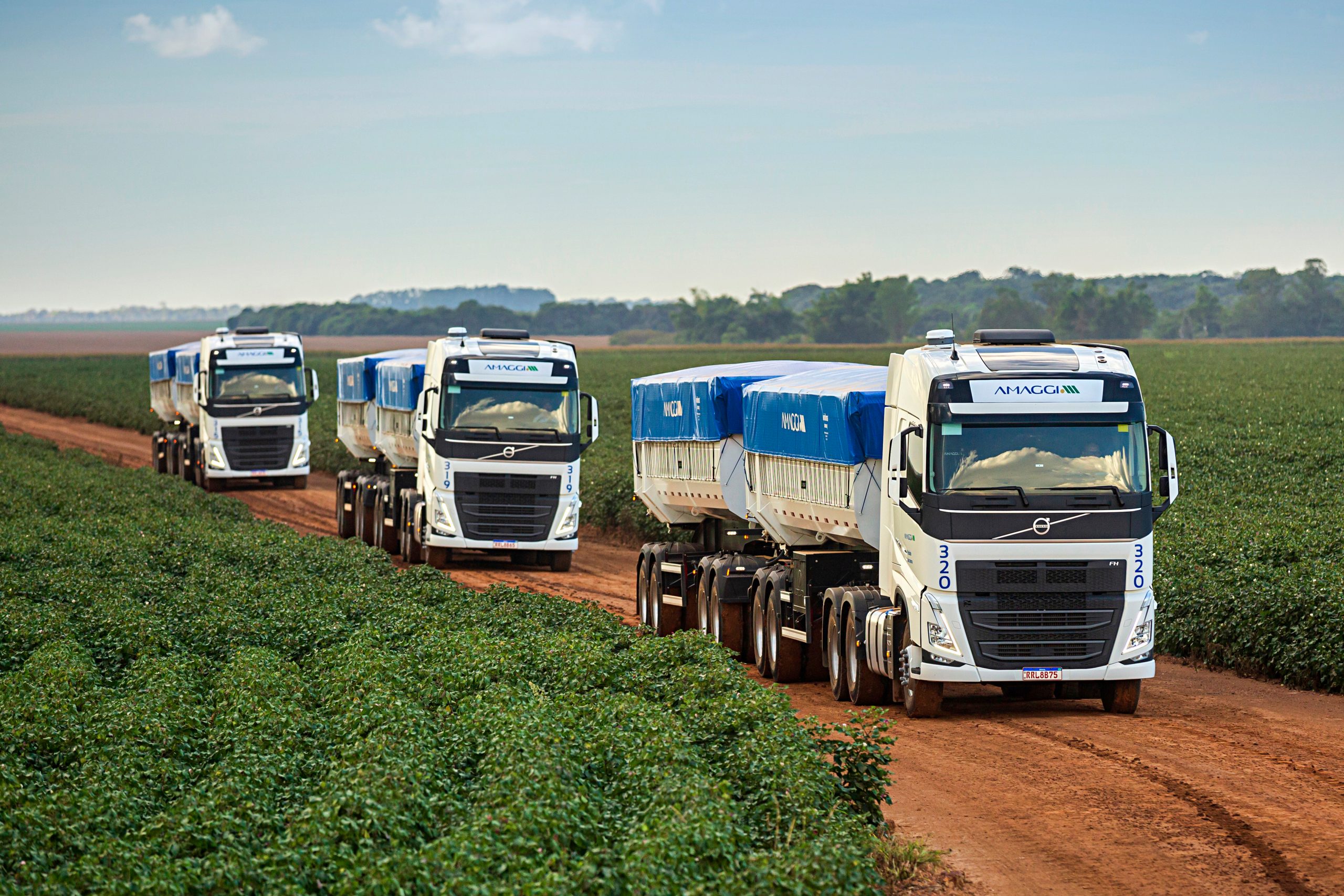 AMAGGI adquire 440 caminhões Volvo para o transporte de produtos agrícolas para exportação