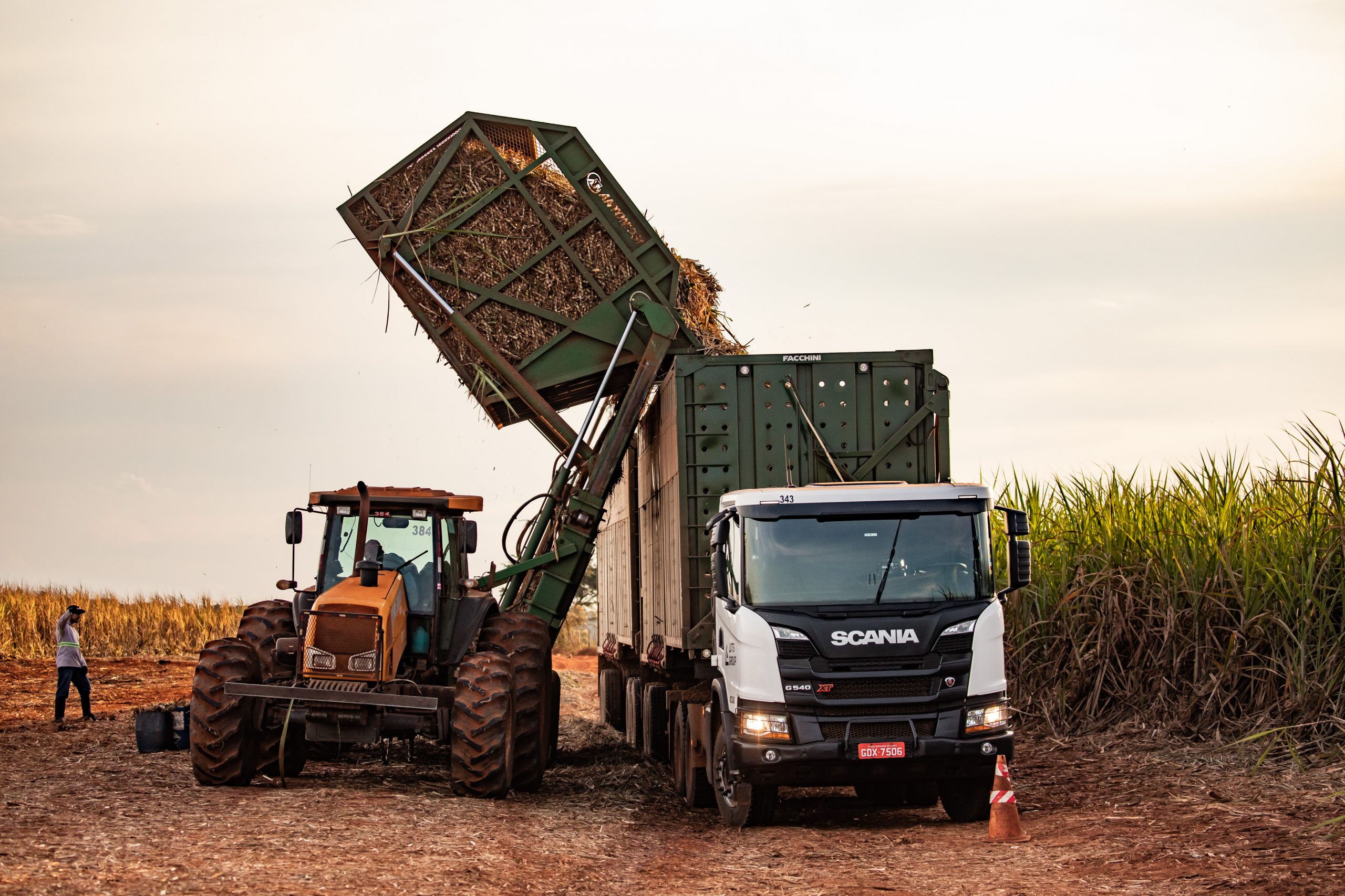 LOTS Group mira expansão no Nordeste para transporte de cana-de-açúcar e grãos