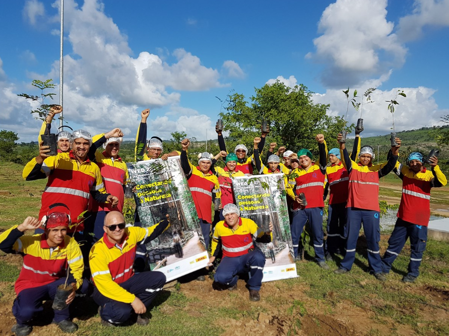 Mais de 1 milhão de colaboradores do Grupo DHL participaram do Dia Global do Voluntariado em 15 anos