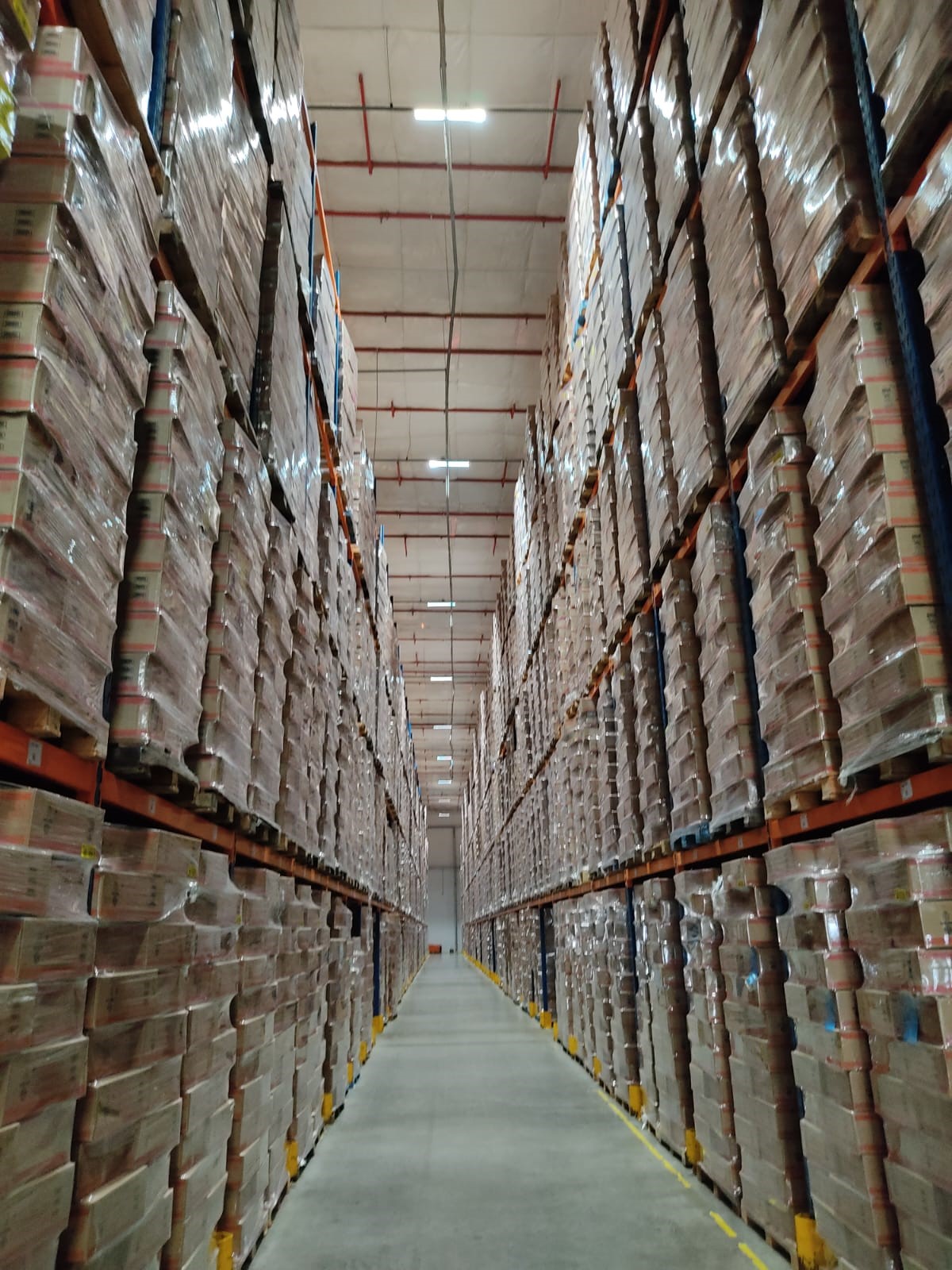 FM Logistic investe R$ 4,5 milhões em nova área refrigerada