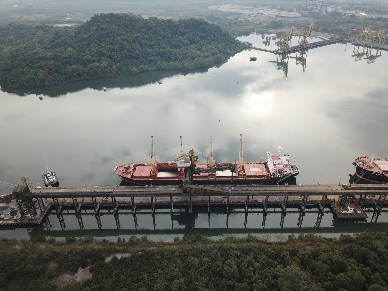 Tereos realiza exportação recorde de 60 mil toneladas de açúcar VHP na safra 2024/2025